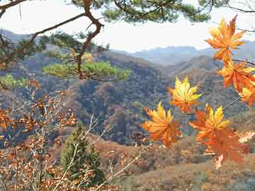 临沂最新天气查询